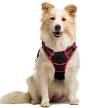 rabbitgoo Dog Harness, No Pull for Large Dogs with 2 Leash Clips, Pet Vest