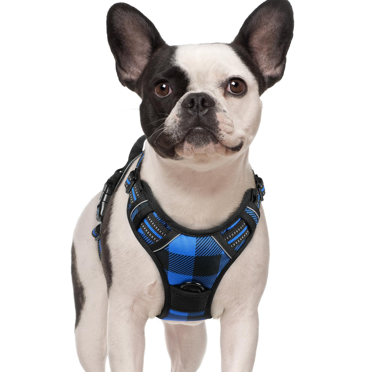 rabbitgoo Dog Harness, No Pull for Large Dogs with 2 Leash Clips, Pet Vest