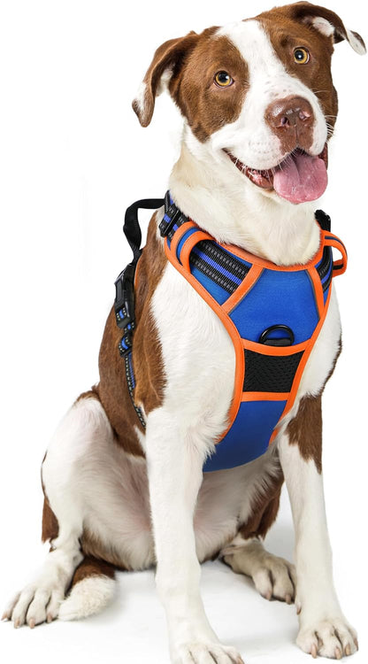 rabbitgoo Dog Harness, No Pull for Large Dogs with 2 Leash Clips, Pet Vest