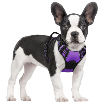 rabbitgoo Dog Harness, No Pull for Large Dogs with 2 Leash Clips, Pet Vest