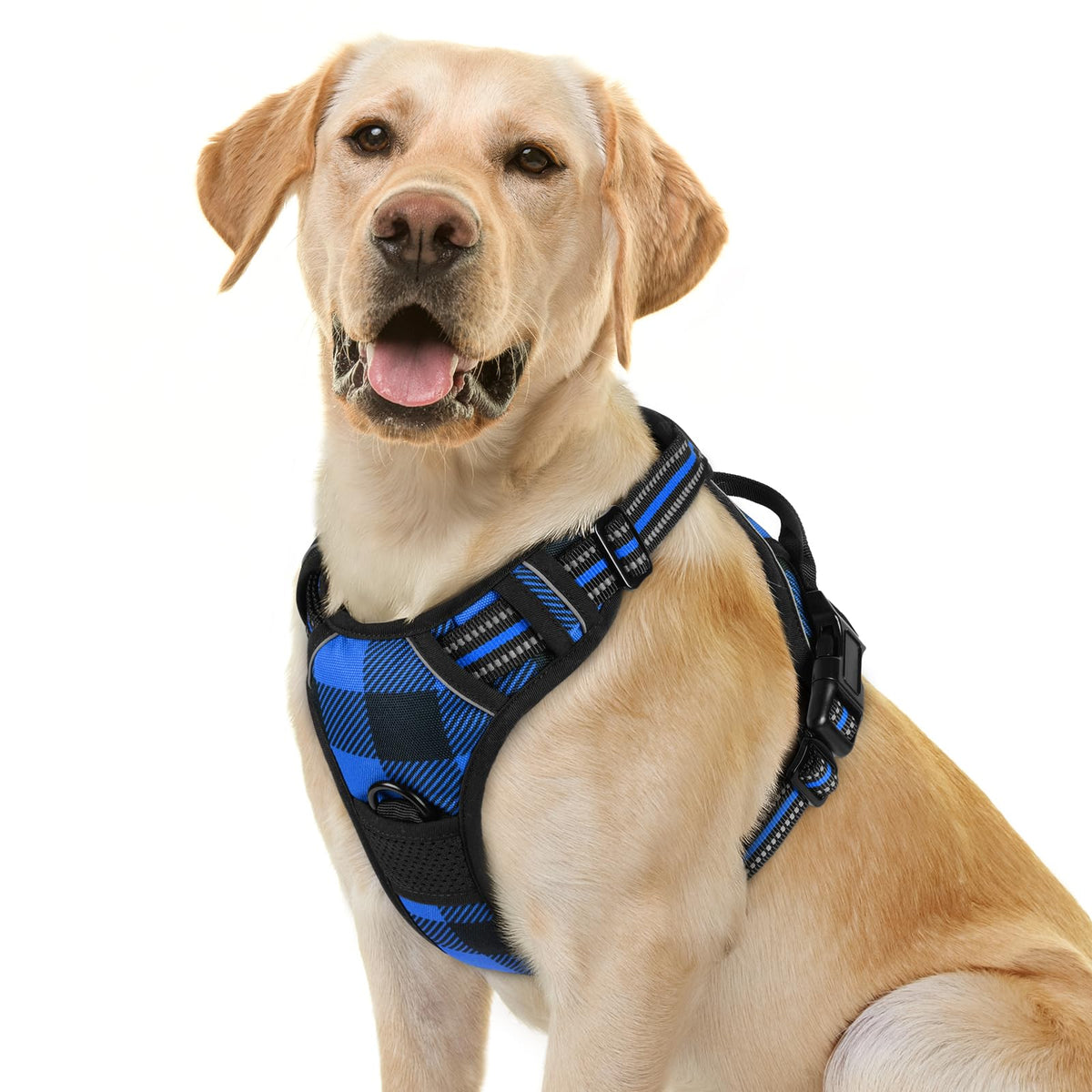rabbitgoo Dog Harness, No Pull for Large Dogs with 2 Leash Clips, Pet Vest