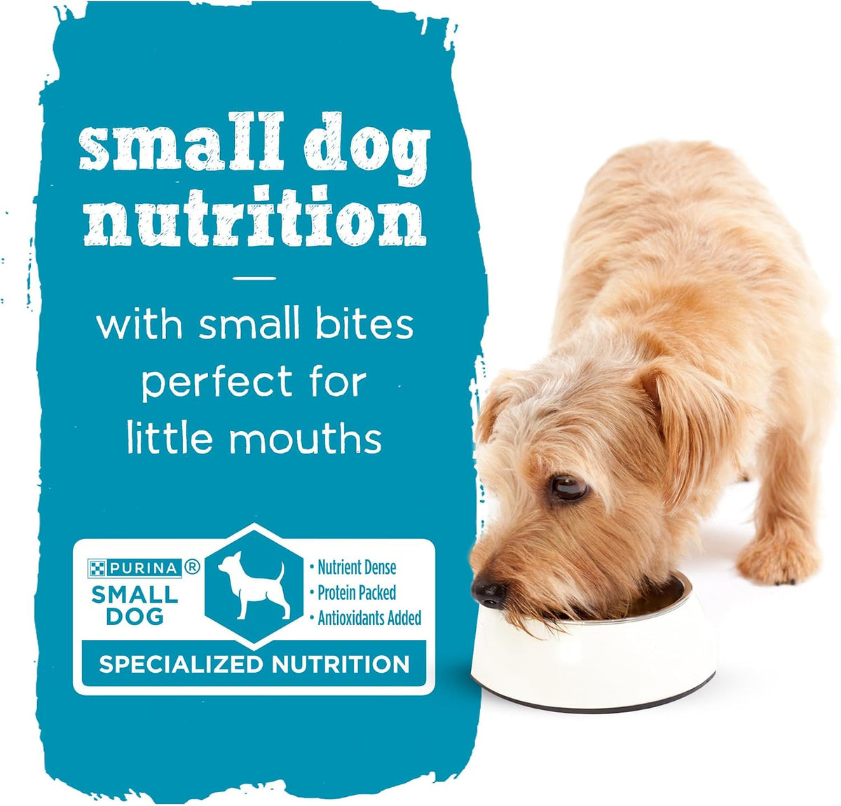 Purina Beneful IncrediBites Wet Dog Food Variety Pack, (2x12) 3 oz