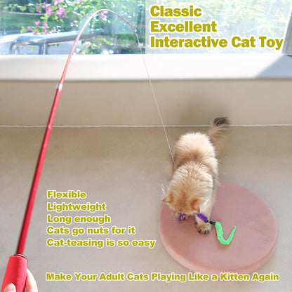 MeoHui Cat Toys for Indoor Cats, Interactive Cat Toy 2PCS Retractable Wand Toy and 9PCS Cat Feather Toys Refills, Funny Kitten Toys Cat Fishing Pole Toy for Bored Indoor Cats Chase and Exercise