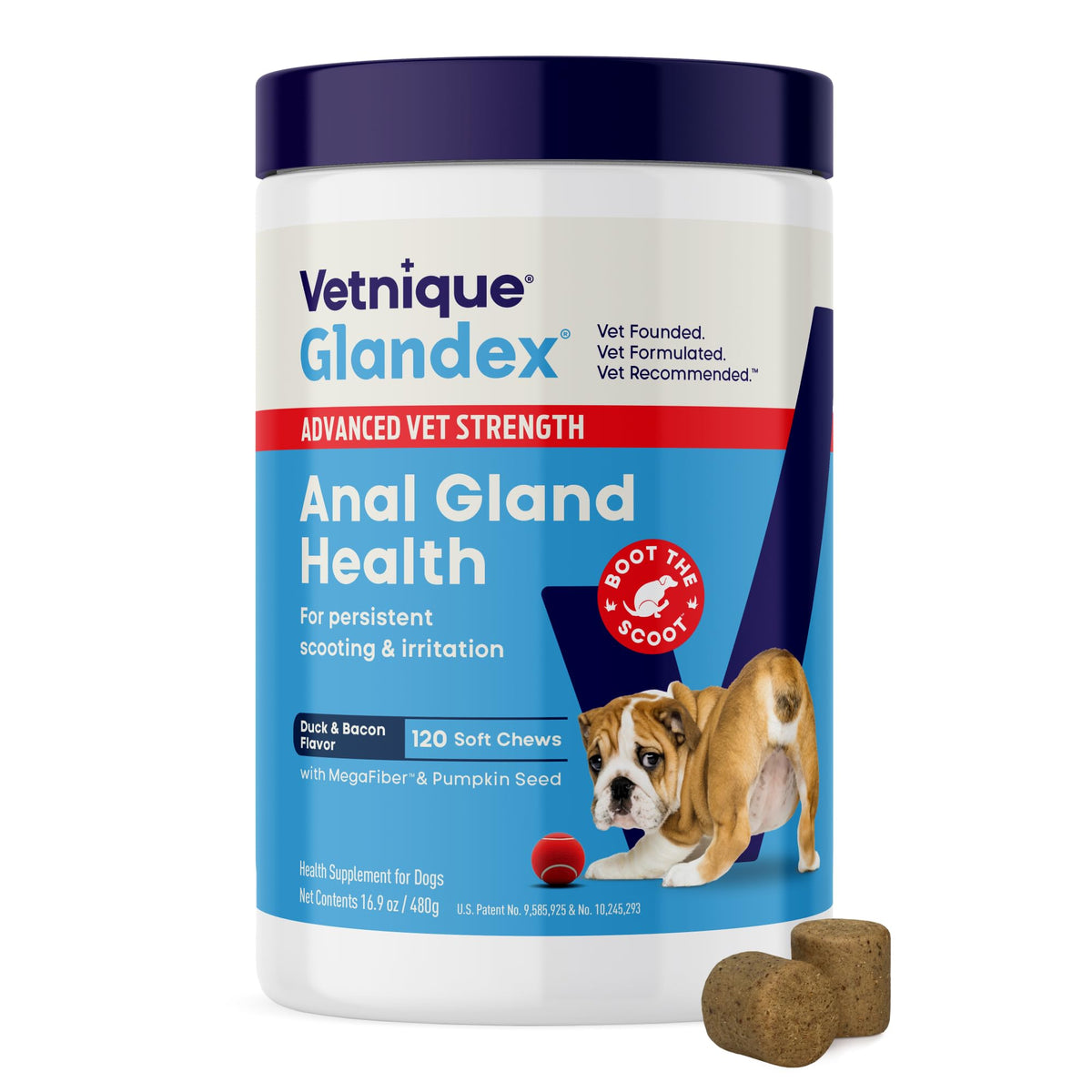 Vetnique Glandex for Dogs Anal Gland Chews 120ct Pumpkin, Digestive Enzymes