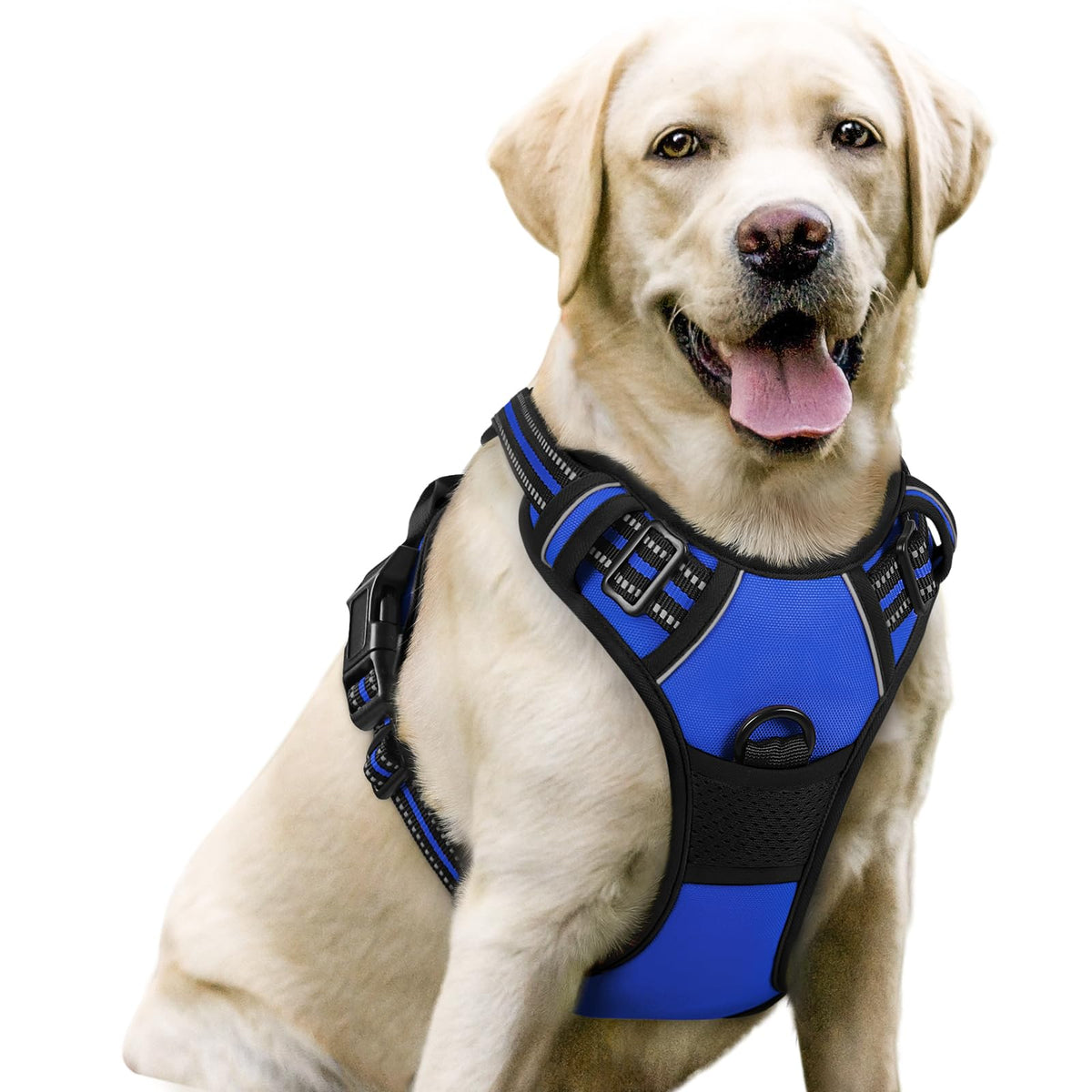 rabbitgoo Dog Harness, No Pull for Large Dogs with 2 Leash Clips, Pet Vest