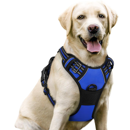 rabbitgoo Dog Harness, No Pull for Large Dogs with 2 Leash Clips, Pet Vest