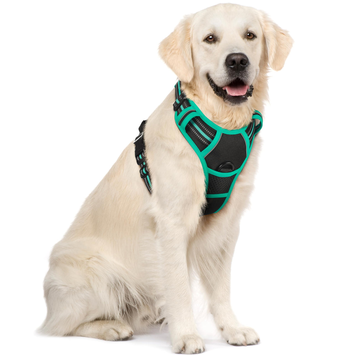 rabbitgoo Dog Harness, No Pull for Large Dogs with 2 Leash Clips, Pet Vest