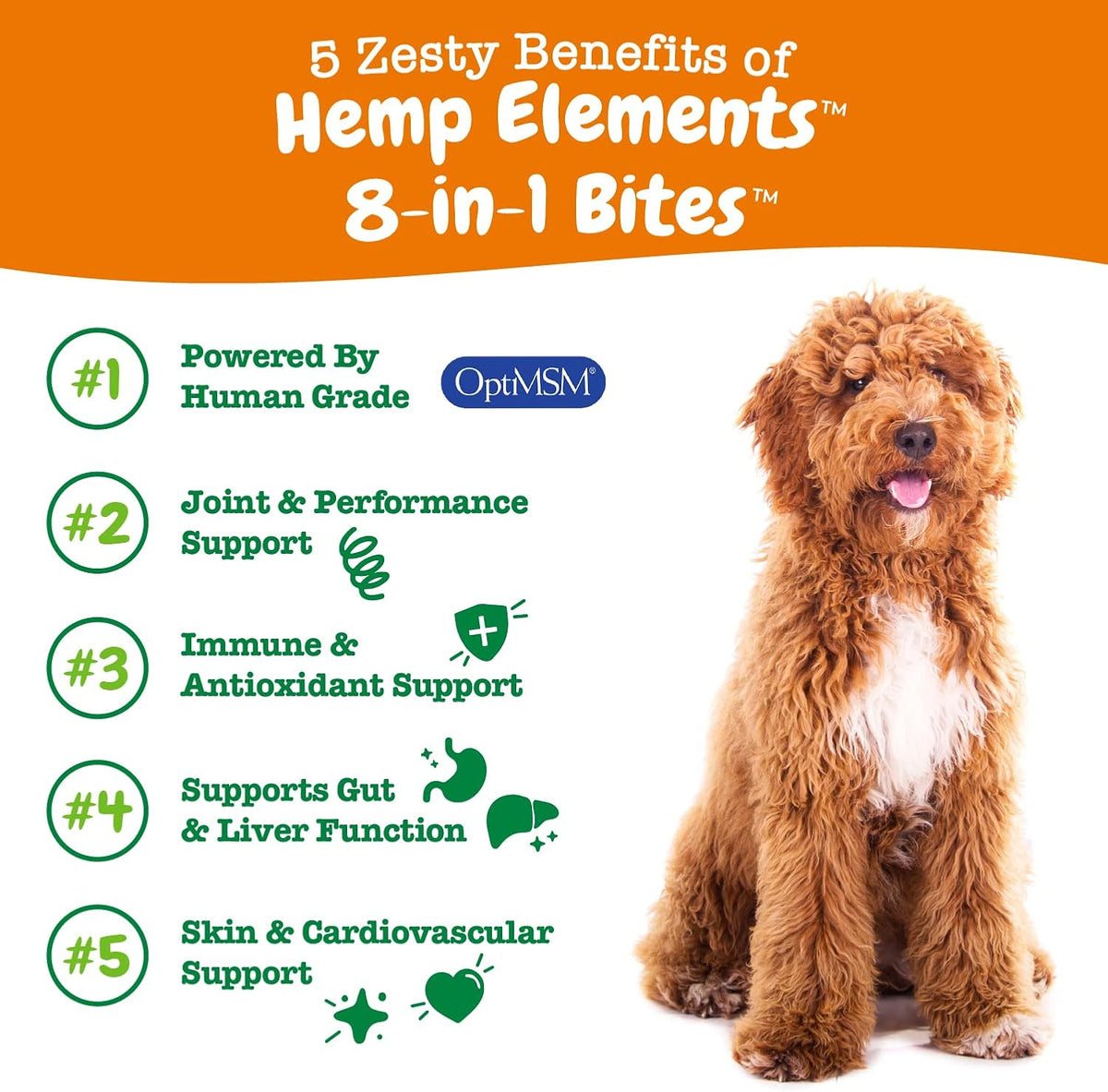 Zesty Paws Dog Vitamins - Dog Multivitamins with Hemp - Chicken, 90 Ct