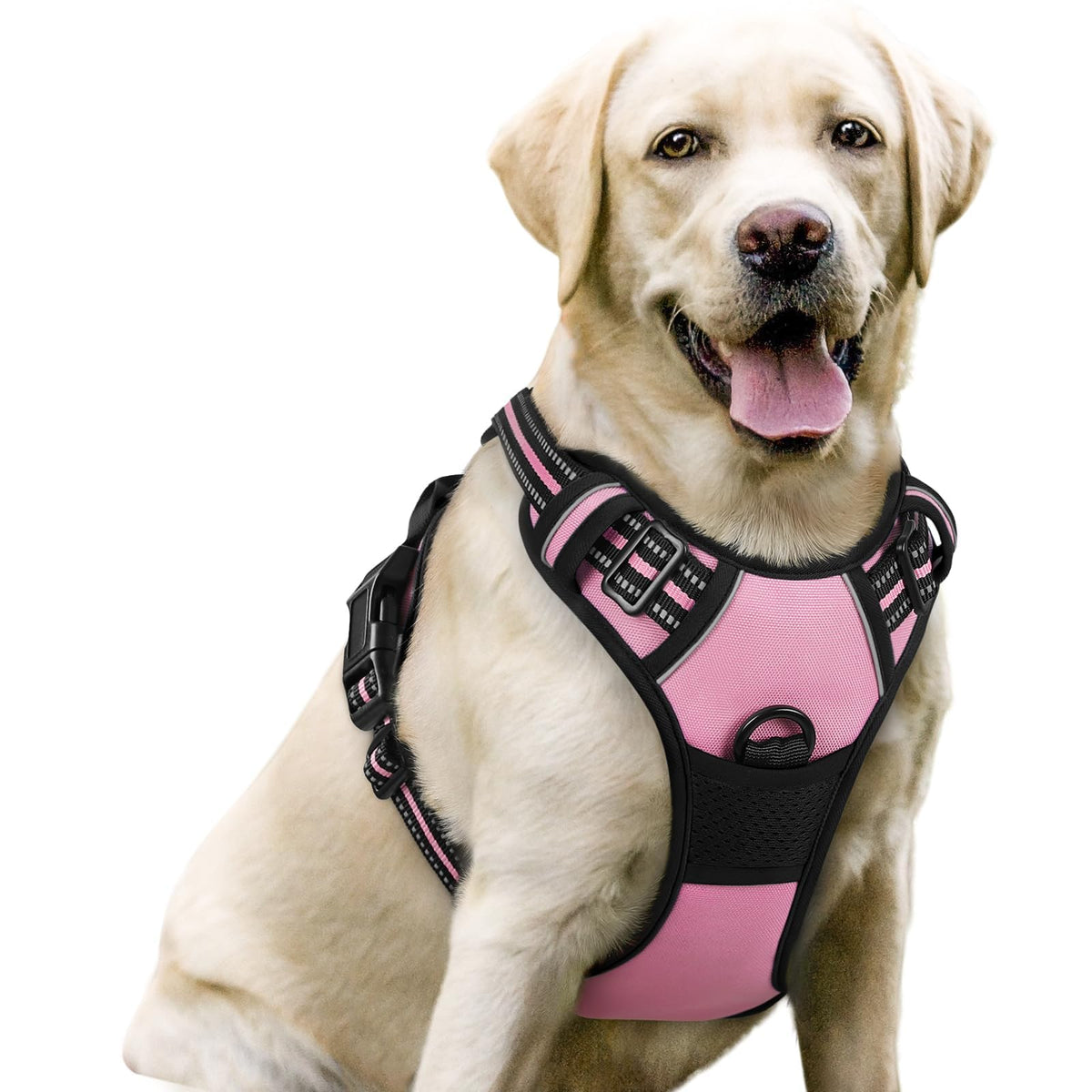rabbitgoo Dog Harness, No Pull for Large Dogs with 2 Leash Clips, Pet Vest