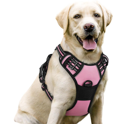 rabbitgoo Dog Harness, No Pull for Large Dogs with 2 Leash Clips, Pet Vest