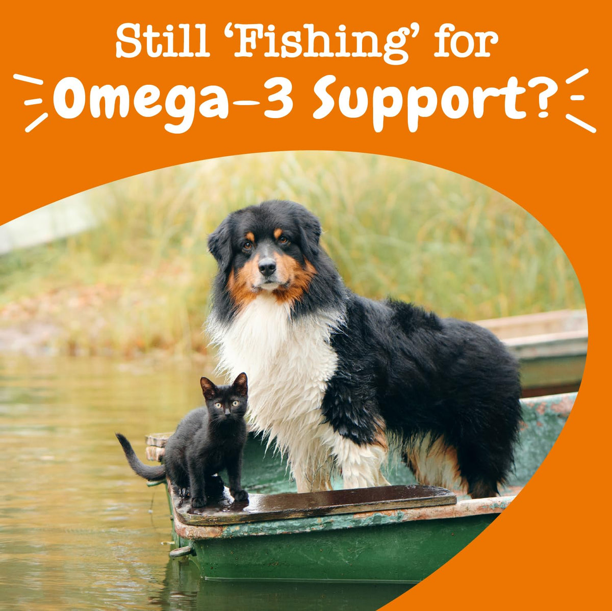 Zesty Paws Wild Alaskan Omega-3 Blend Pollock + Salmon Oil for Dogs and Cats- Skin and Coat Support, Omega 3 Supplement for Pets, 16oz