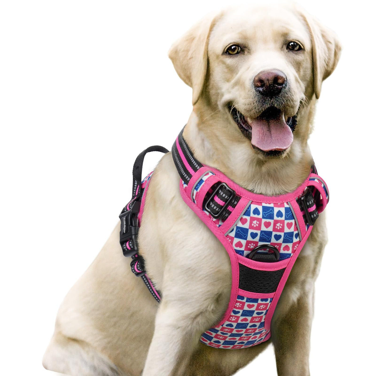 rabbitgoo Dog Harness, No Pull for Large Dogs with 2 Leash Clips, Pet Vest