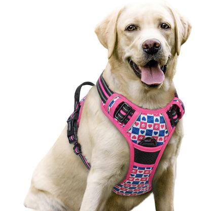 rabbitgoo Dog Harness, No Pull for Large Dogs with 2 Leash Clips, Pet Vest