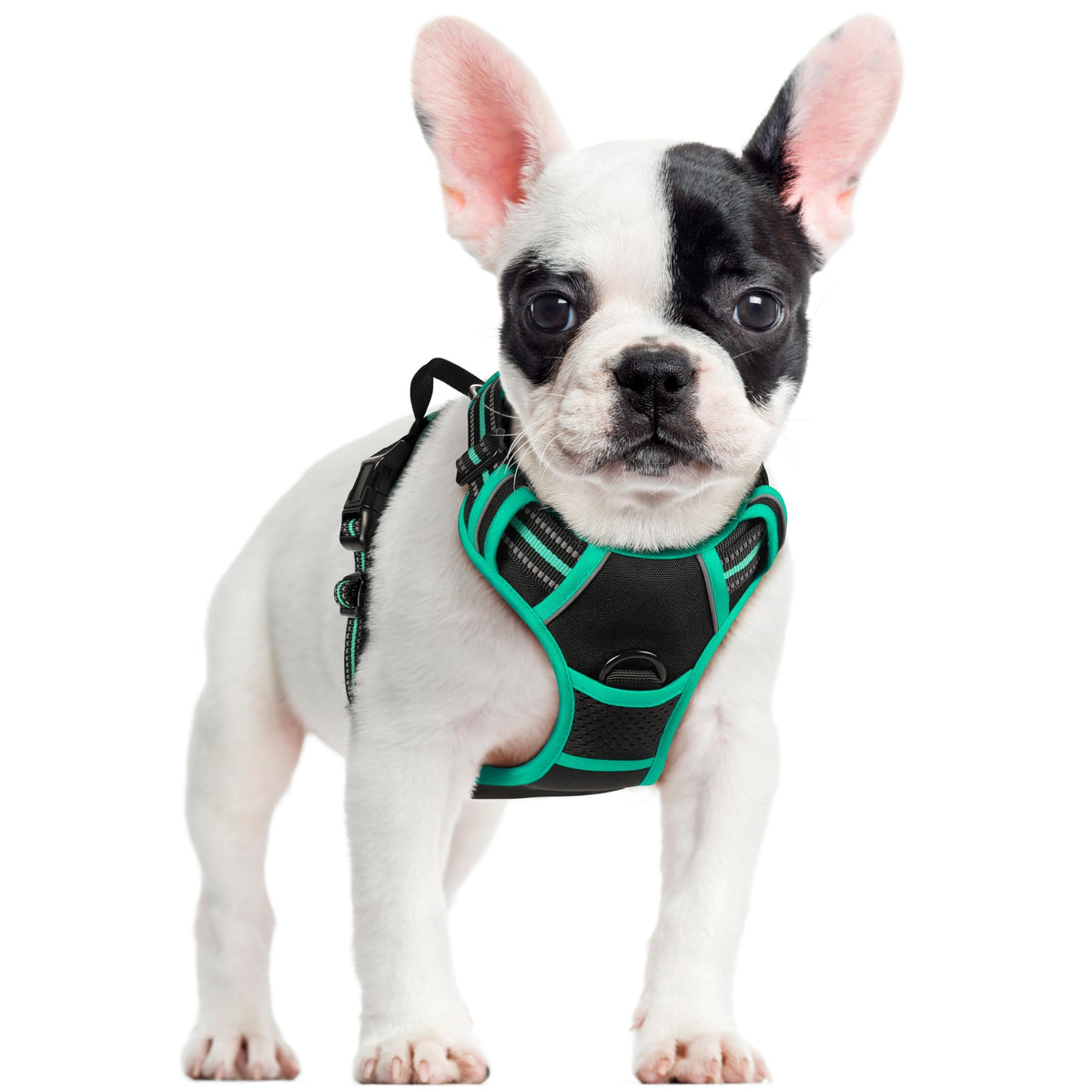 rabbitgoo Dog Harness, No Pull for Large Dogs with 2 Leash Clips, Pet Vest