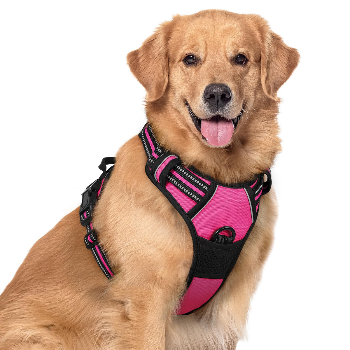 rabbitgoo Dog Harness, No Pull for Large Dogs with 2 Leash Clips, Pet Vest