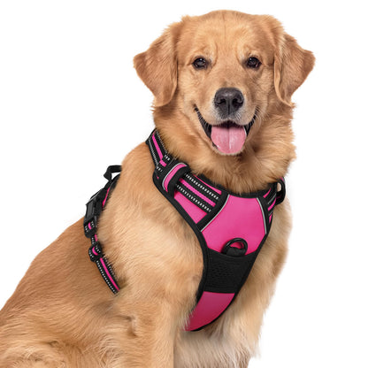rabbitgoo Dog Harness, No Pull for Large Dogs with 2 Leash Clips, Pet Vest