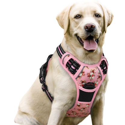 rabbitgoo Dog Harness, No Pull for Large Dogs with 2 Leash Clips, Pet Vest