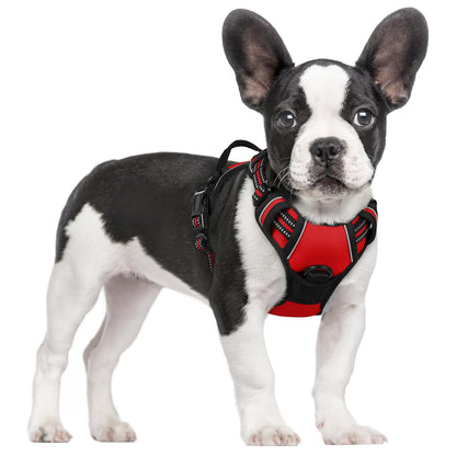 rabbitgoo Dog Harness, No Pull for Large Dogs with 2 Leash Clips, Pet Vest
