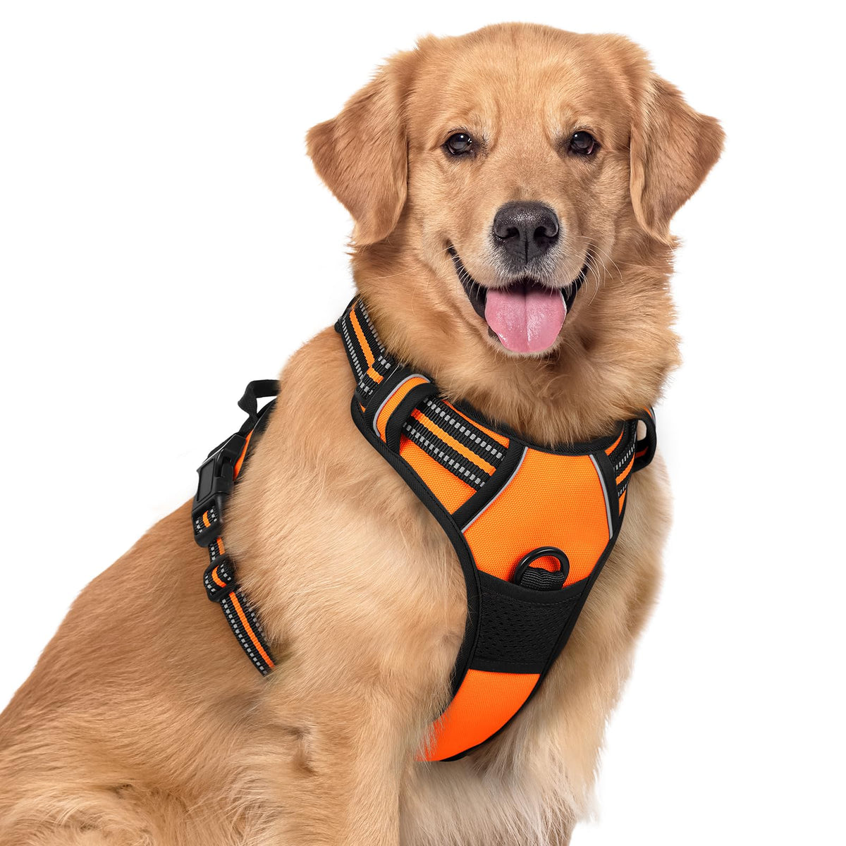 rabbitgoo Dog Harness, No Pull for Large Dogs with 2 Leash Clips, Pet Vest