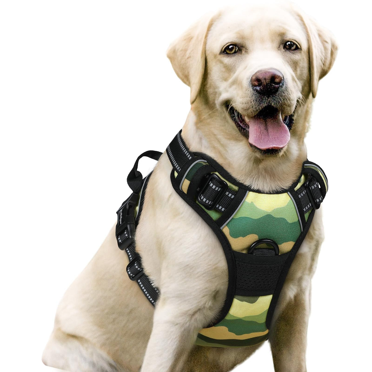 rabbitgoo Dog Harness, No Pull for Large Dogs with 2 Leash Clips, Pet Vest