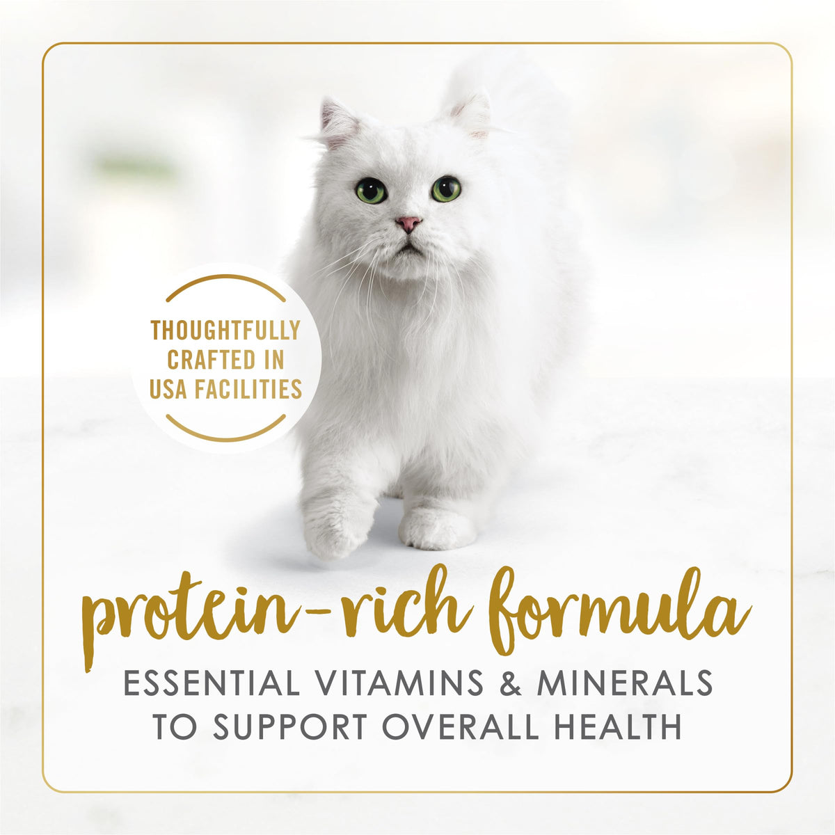 Purina Fancy Feast Appetizers and Broths Variety Pack (2 Pack) 24 Count