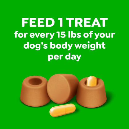Greenies Pill Pockets Large Size Dog Treats, Peanut Butter, 15.8 oz