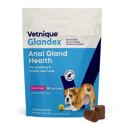 Vetnique Glandex for Dogs Anal Gland Chews 120ct Pumpkin, Digestive Enzymes