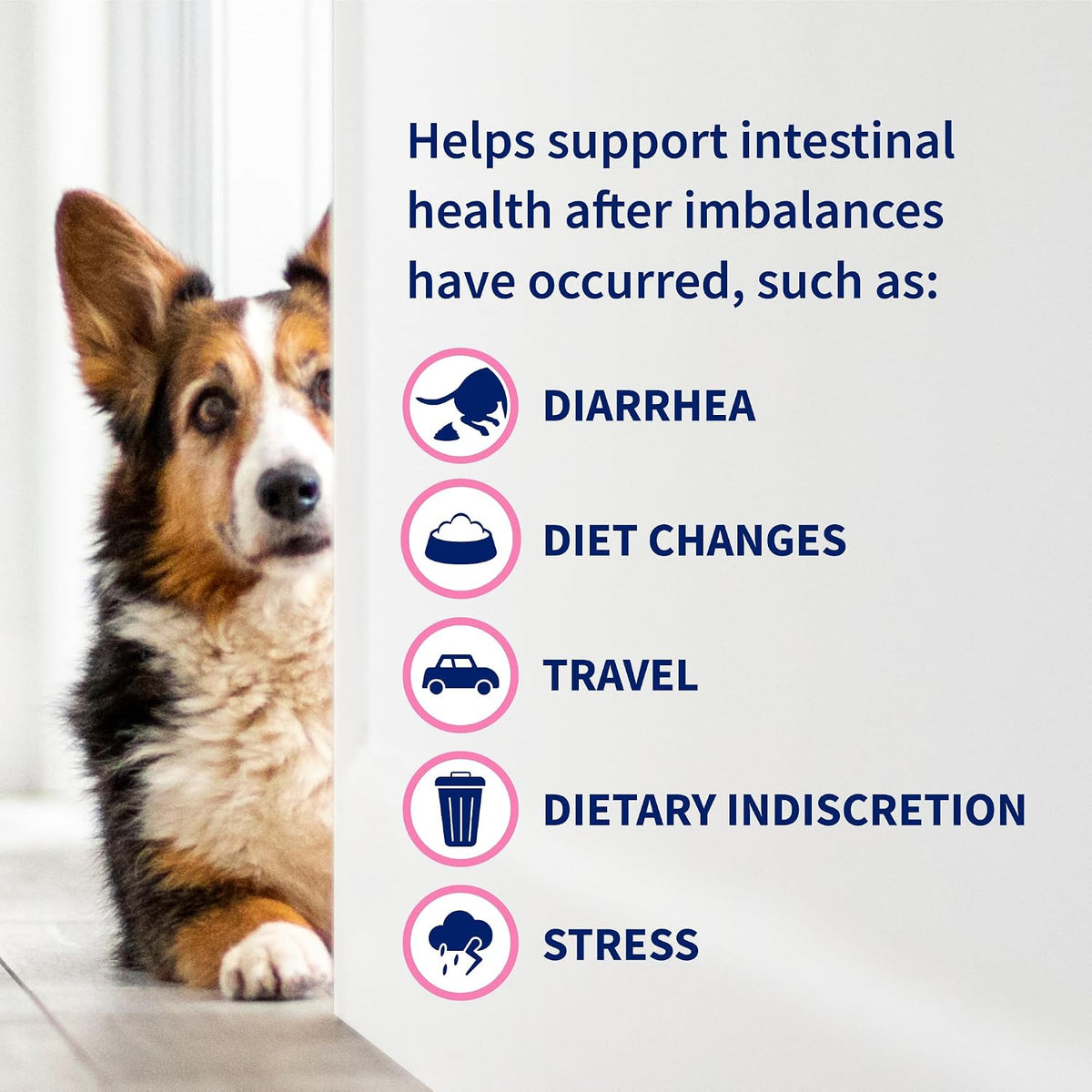 Nutramax Proviable Probiotics for Dogs & Cats, Sprinkle Capsules, 30ct