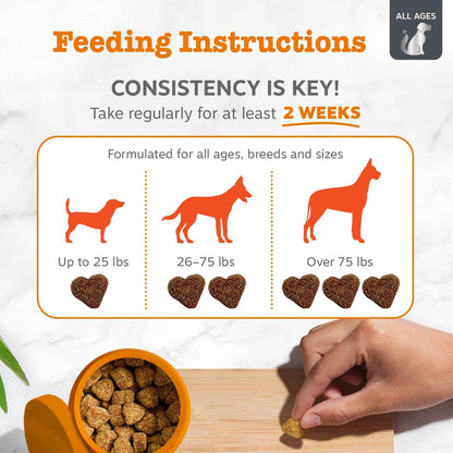 Zesty Paws Dog Allergy Chews - Dog Allergy Relief, Lamb, 90 Ct