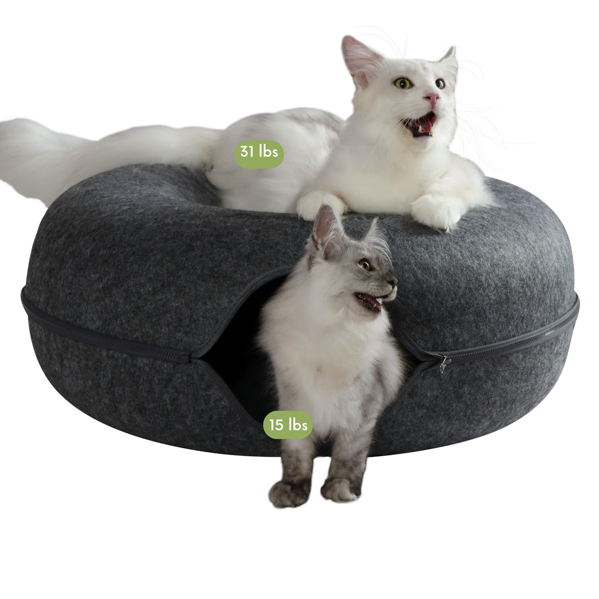 CATTASAURUS Peekaboo Cat Cave for Multiple & Large Cats Up to 30-45 Lbs, Scratch Detachable & Washable Tunnel Bed, Comfy Donut Cat Cave (Light Gray, Large)