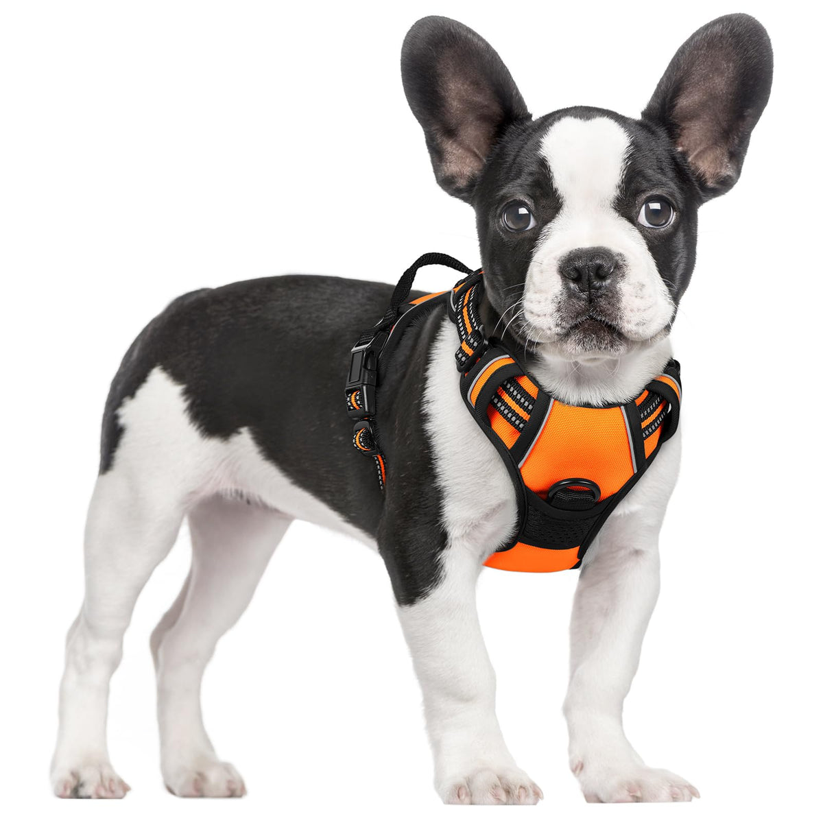 rabbitgoo Dog Harness, No Pull for Large Dogs with 2 Leash Clips, Pet Vest