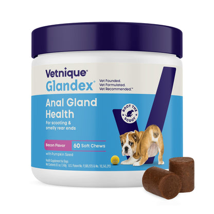 Vetnique Glandex for Dogs Anal Gland Chews 120ct Pumpkin, Digestive Enzymes