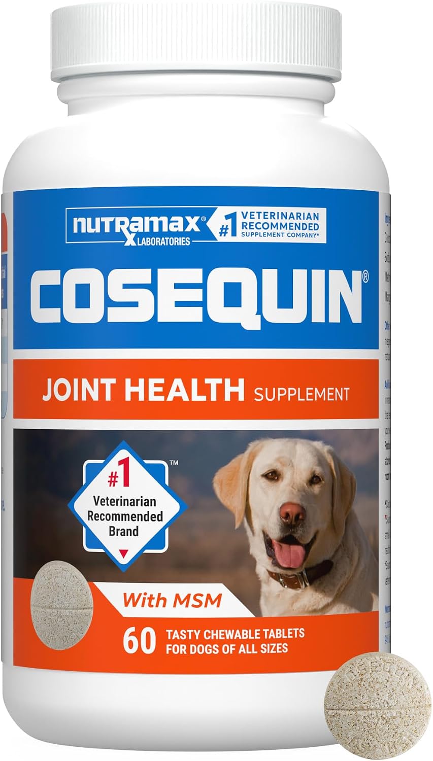 Nutramax Cosequin Joint Supplement for Dogs, MSM+HA, Chew Tablets, 250ct