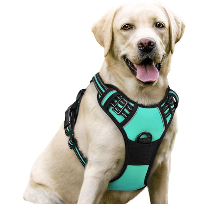 rabbitgoo Dog Harness, No Pull for Large Dogs with 2 Leash Clips, Pet Vest