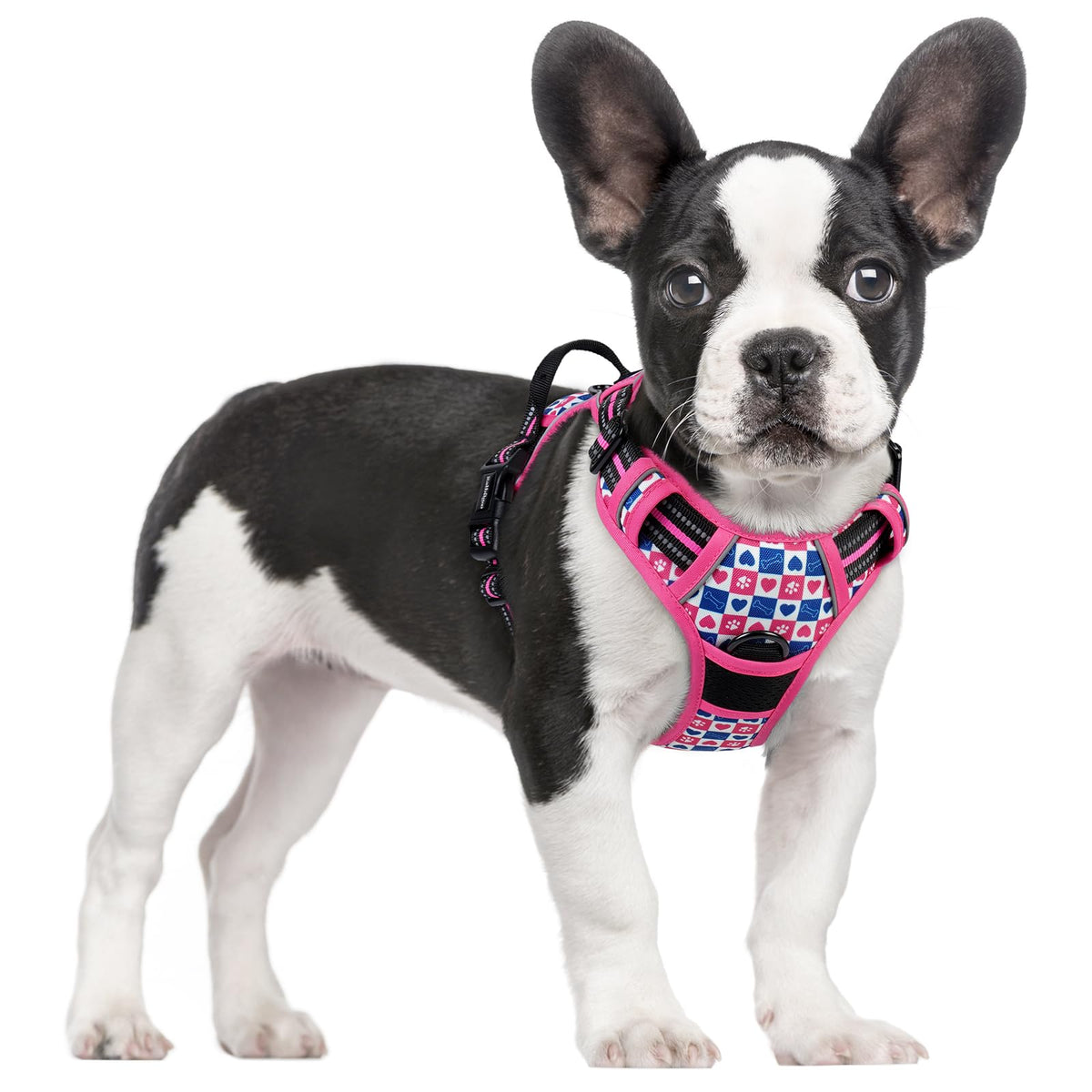 rabbitgoo Dog Harness, No Pull for Large Dogs with 2 Leash Clips, Pet Vest