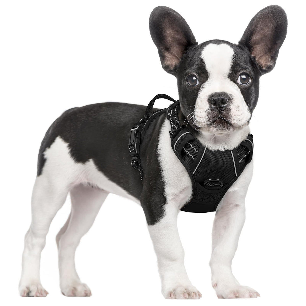 rabbitgoo Dog Harness, No Pull for Large Dogs with 2 Leash Clips, Pet Vest