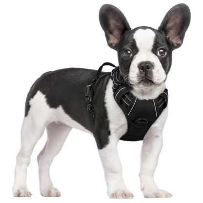 rabbitgoo Dog Harness, No Pull for Large Dogs with 2 Leash Clips, Pet Vest
