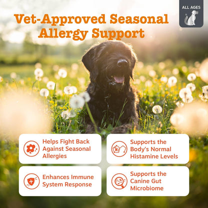 Zesty Paws Dog Allergy Chews - Dog Allergy Relief, Lamb, 90 Ct