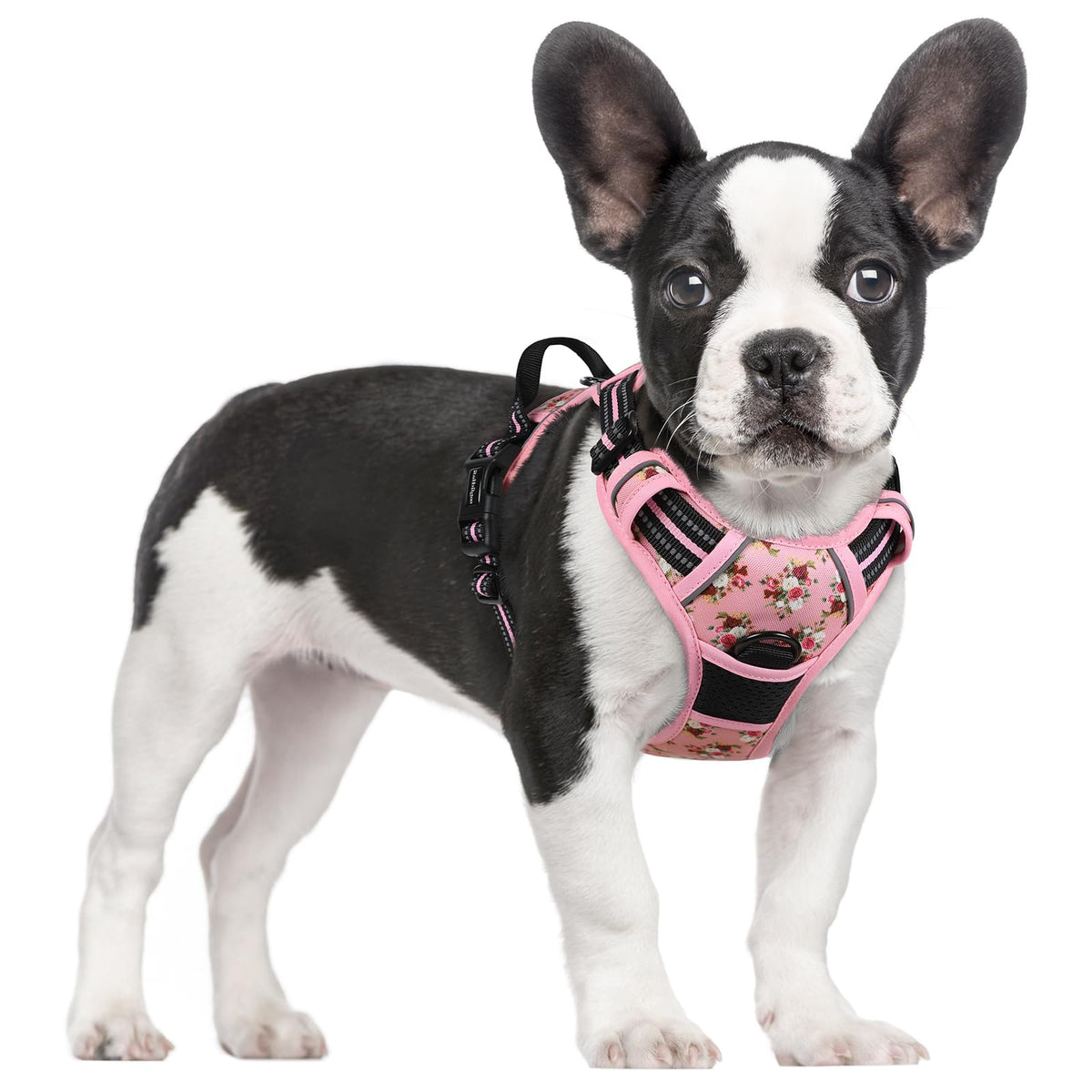 rabbitgoo Dog Harness, No Pull for Large Dogs with 2 Leash Clips, Pet Vest