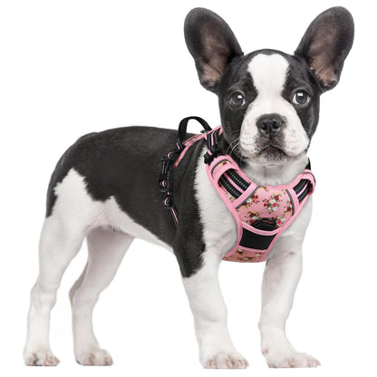 rabbitgoo Dog Harness, No Pull for Large Dogs with 2 Leash Clips, Pet Vest