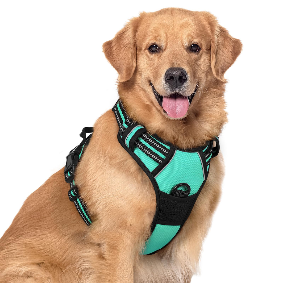 rabbitgoo Dog Harness, No Pull for Large Dogs with 2 Leash Clips, Pet Vest