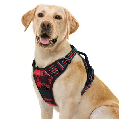 rabbitgoo Dog Harness, No Pull for Large Dogs with 2 Leash Clips, Pet Vest