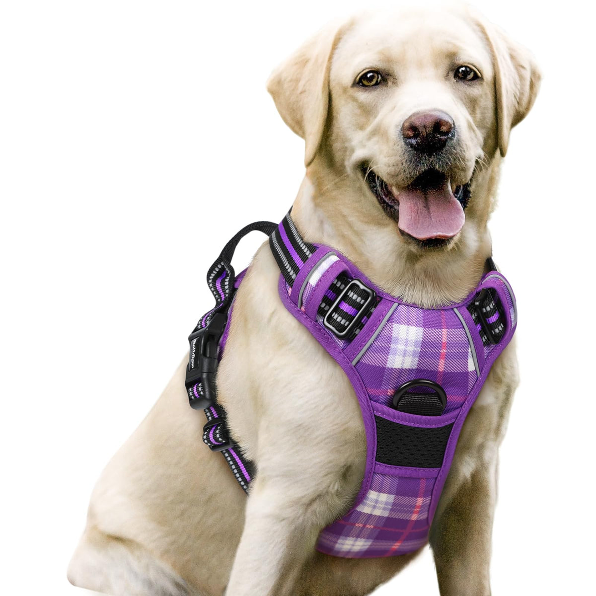 rabbitgoo Dog Harness, No Pull for Large Dogs with 2 Leash Clips, Pet Vest