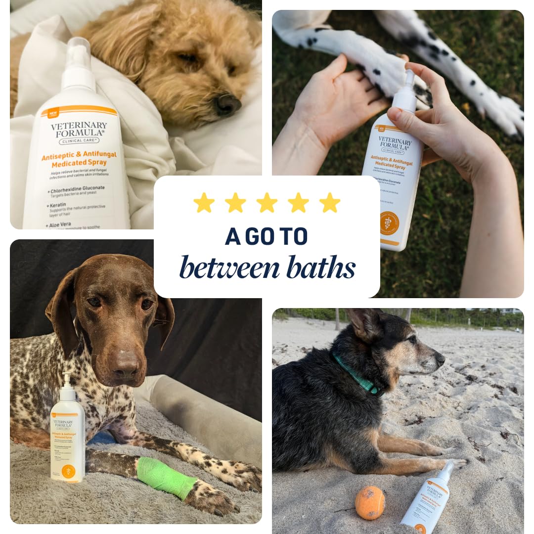 Veterinary Formula Clinical Care Antiseptic & Antifungal Shampoo + Spray