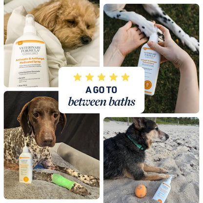 Veterinary Formula Clinical Care Antiseptic & Antifungal Shampoo + Spray