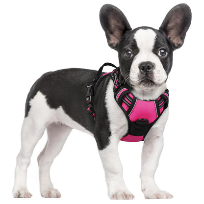 rabbitgoo Dog Harness, No Pull for Large Dogs with 2 Leash Clips, Pet Vest