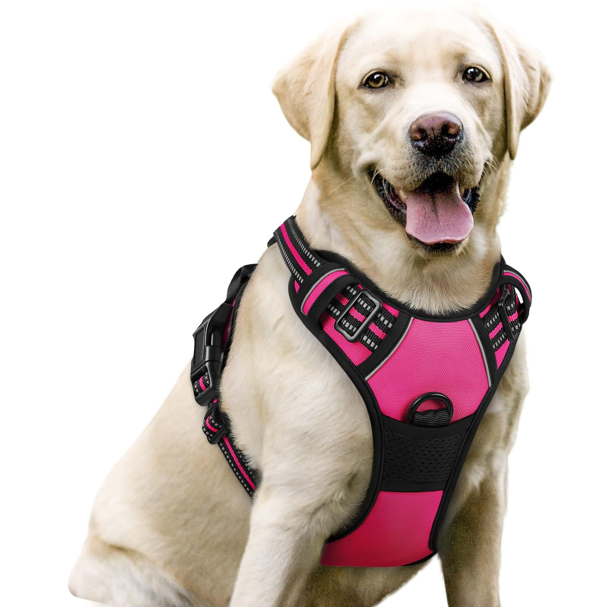 rabbitgoo Dog Harness, No Pull for Large Dogs with 2 Leash Clips, Pet Vest