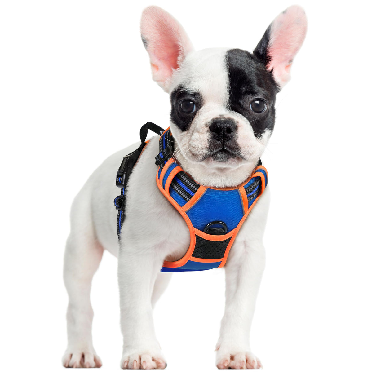rabbitgoo Dog Harness, No Pull for Large Dogs with 2 Leash Clips, Pet Vest