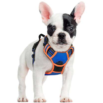 rabbitgoo Dog Harness, No Pull for Large Dogs with 2 Leash Clips, Pet Vest