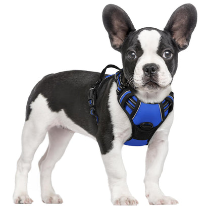 rabbitgoo Dog Harness, No Pull for Large Dogs with 2 Leash Clips, Pet Vest
